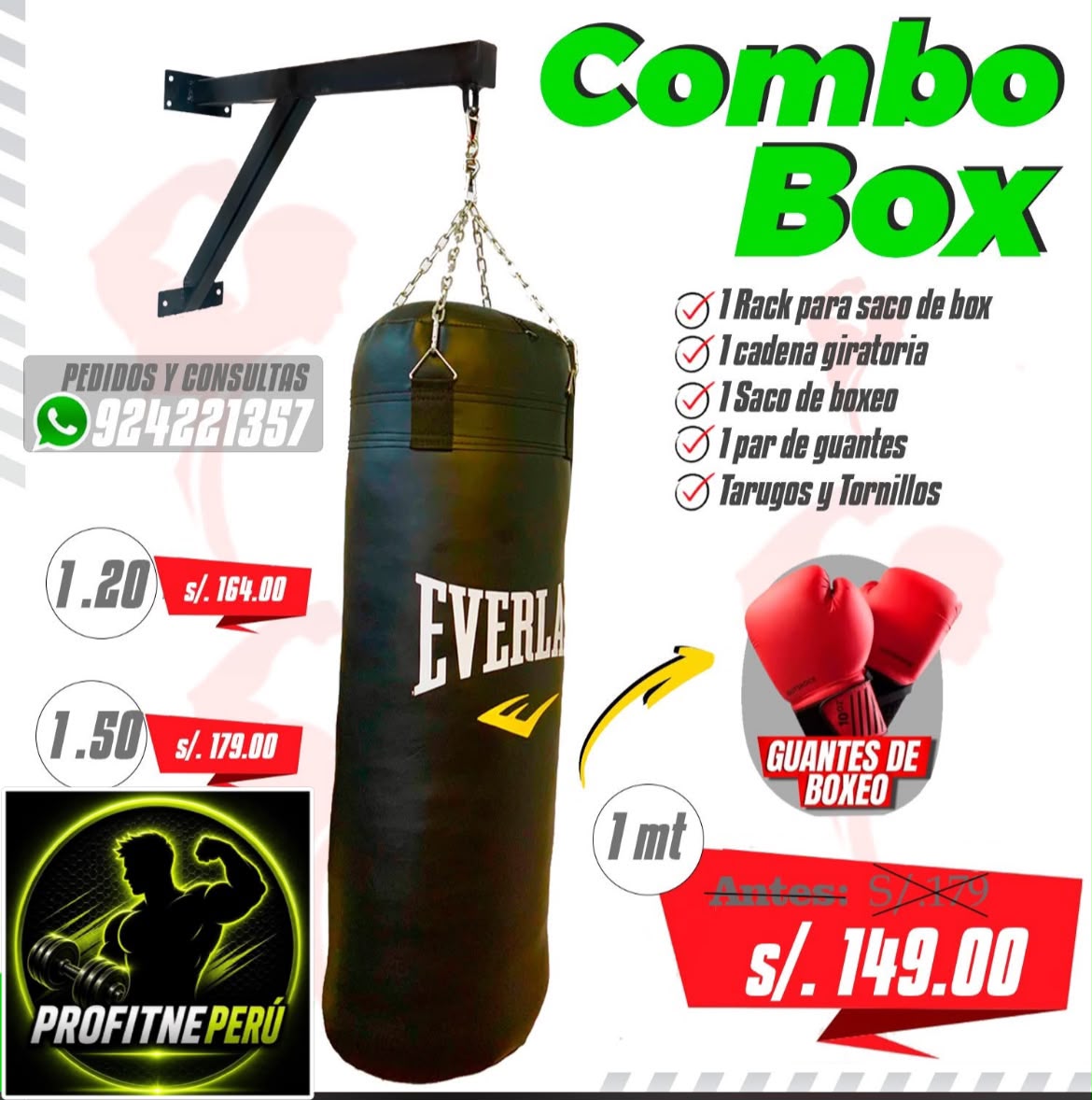 Combo Box PROFITNE Perú: saco de boxeo Everlast, rack de pared, cadena giratoria y guantes